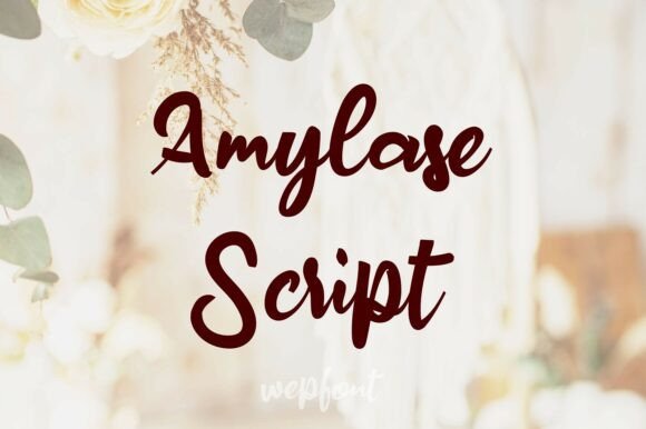 Amylase Script: A Guide to This Elegant Handwritten Font