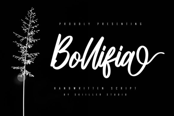 Bollifia Script: A Flowing Handwritten Font for Timeless Design