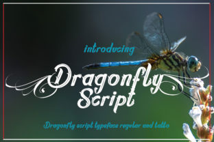 Bringing a Personal Touch to Modern Projects with Dragonfly Script