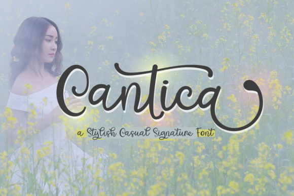 Cantica Script: Adding Sophistication to Every Project