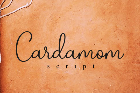 Cardamom Script: A Handwritten Font for Modern Branding