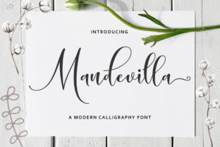 Mandevilla Script: Crafting Warmth into Every Design