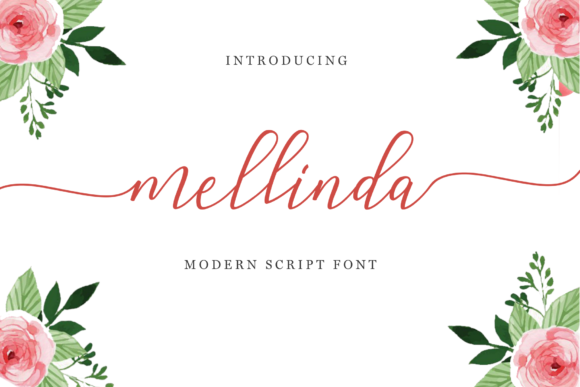 Why Mellinda Script is the Creative Spark Your Brand Needs